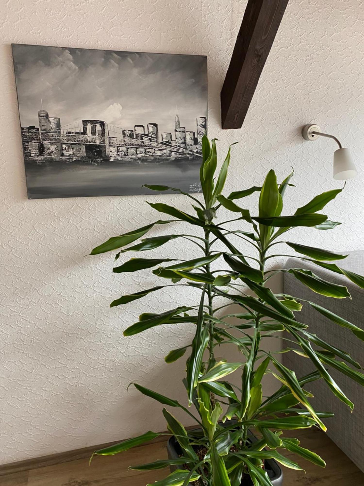 Ferienwohnung Malk 트라벤트라바흐 외부 사진